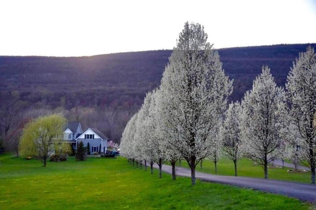 Malkita'S Mountain View Villa Woodbury  Экстерьер фото
